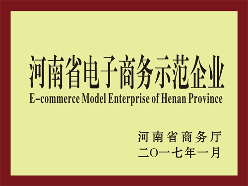 河南省電子商務(wù)示范企業(yè)